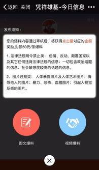 爆料视频可以是图文的吗,爆料视频图文并茂，事件真相浮出水面