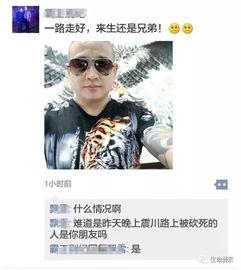手机爆料龙哥视频下载,手机爆料背后的精彩瞬间