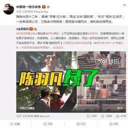 各类真实爆料视频大全集,视频大全集深度解析